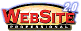 WebSite Professional